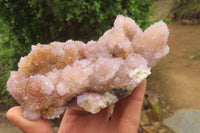 Natural Ametrine Spirit Quartz Clusters x 2 From Boekenhouthoek, South Africa