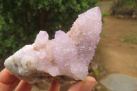 Natural Ametrine Spirit Quartz Clusters x 2 From Boekenhouthoek, South Africa