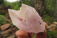 Natural Hematoid Quartz Crystals x 12 From Madagascar