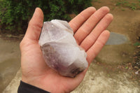 Natural Hematoid Quartz Crystals x 12 From Madagascar