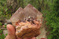 Natural Hematoid Quartz Crystals x 12 From Madagascar