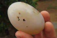 Polished Banded Agate Palm Stones x 15 From Madagascar