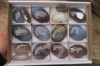 Polished Banded Agate Palm Stones x 15 From Madagascar