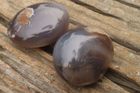 Polished Banded Agate Palm Stones x 15 From Madagascar