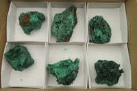 Natural Silky Malachite Specimens x 6 From Kasompe, Congo