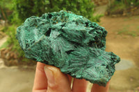 Natural Silky Malachite Specimens x 6 From Kasompe, Congo