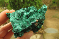 Natural Silky Malachite Specimens x 6 From Kasompe, Congo