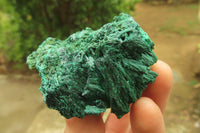 Natural Silky Malachite Specimens x 6 From Kasompe, Congo