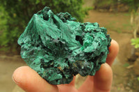 Natural Silky Malachite Specimens x 6 From Kasompe, Congo