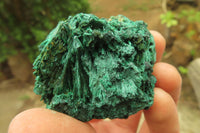 Natural Silky Malachite Specimens x 6 From Kasompe, Congo