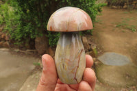 Polished Polychrome Jasper Mushroom Carvings x 6 From Madagascar