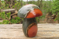 Polished Polychrome Jasper Mushroom Carvings x 6 From Madagascar