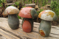 Polished Polychrome Jasper Mushroom Carvings x 6 From Madagascar