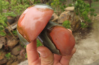 Polished Polychrome Jasper Mushroom Carvings x 6 From Madagascar