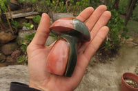 Polished Polychrome Jasper Mushroom Carvings x 6 From Madagascar