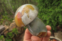 Polished Polychrome Jasper Mushroom Carvings x 6 From Madagascar