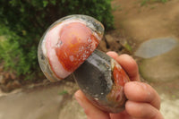 Polished Polychrome Jasper Mushroom Carvings x 6 From Madagascar