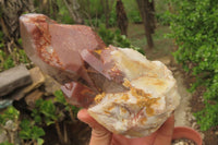 Natural Red Hematoid Quartz Clusters x 4 From Karoi, Zimbabwe