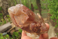 Natural Red Hematoid Quartz Clusters x 4 From Karoi, Zimbabwe