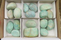 Polished Amazonite Palm Stones x 17 From Zimbabwe