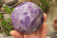 Polished Chevron Amethyst Spheres x 2 From Madagascar