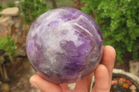 Polished Chevron Amethyst Spheres x 2 From Madagascar