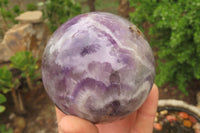 Polished Chevron Amethyst Spheres x 2 From Madagascar