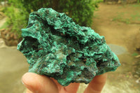 Natural Silky Malachite Specimens x 23 From Kasompe, Congo