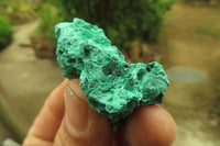 Natural Silky Malachite Specimens x 23 From Kasompe, Congo