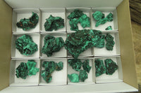 Natural Silky Malachite Specimens x 23 From Kasompe, Congo