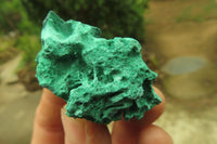 Natural Silky Malachite Specimens x 23 From Kasompe, Congo