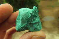 Natural Silky Malachite Specimens x 23 From Kasompe, Congo