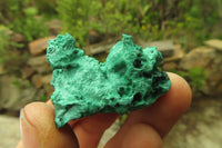 Natural Silky Malachite Specimens x 23 From Kasompe, Congo