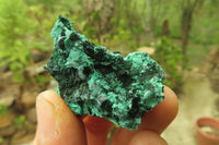 Natural Silky Malachite Specimens x 23 From Kasompe, Congo