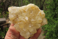 Natural Limonite Quartz Clusters x 5 From Zambia