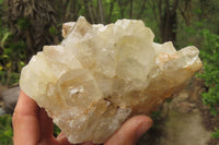 Natural Limonite Quartz Clusters x 5 From Zambia