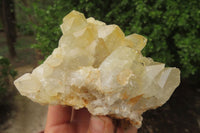 Natural Limonite Quartz Clusters x 5 From Zambia