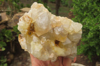 Natural Limonite Quartz Clusters x 5 From Zambia