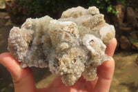 Natural Drusy Quartz Coated Calcite Pseudomorph Specimens x 2 From Alberts Mountain, Lesotho