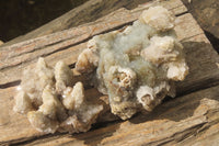 Natural Drusy Quartz Coated Calcite Pseudomorph Specimens x 2 From Alberts Mountain, Lesotho