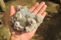 Natural Drusy Quartz Coated Calcite Pseudomorph Specimens x 2 From Alberts Mountain, Lesotho