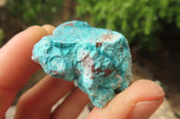 Natural Shattuckite Cobbed Specimens x 3.06 Kg Lot From Namibia