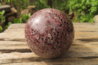 Polished Pyrope Garnet Matrix Spheres x 2 From Madagascar