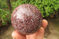 Polished Pyrope Garnet Matrix Spheres x 2 From Madagascar