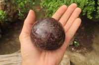 Polished Pyrope Garnet Matrix Spheres x 2 From Madagascar