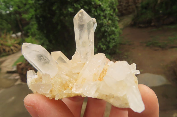 Natural Clear Quartz Clusters x 12 From Madagascar