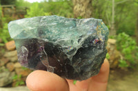 Natural Watermelon Fluorite Cobbed Specimens x 6 From Uis, Namibia