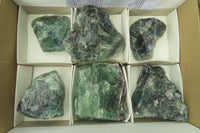 Natural Watermelon Fluorite Cobbed Specimens x 6 From Uis, Namibia