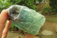 Natural Watermelon Fluorite Cobbed Specimens x 6 From Uis, Namibia