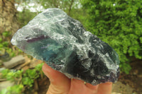 Natural Watermelon Fluorite Cobbed Specimens x 6 From Uis, Namibia